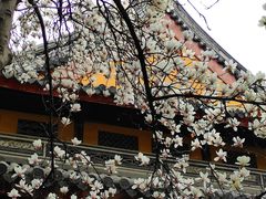 -龙华寺