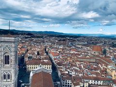 -圣母百花大教堂穹顶