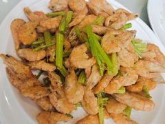 -陶然饺子城(奥体中路店)