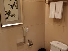 -重庆长寿碧桂园凤悦凤凰酒店