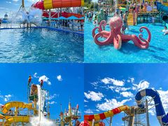 -秦皇岛乐岛海洋王国