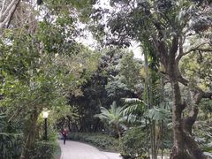 -月亮湾公园