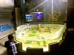 景点-嘉兴海底世界