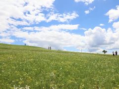 -御道口草原森林风景区