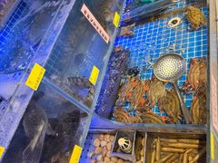 -77号渔船·蒸海鲜青岛菜(积米崖店)