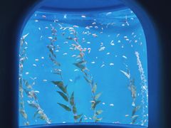 -欢乐海岸海洋奇梦馆
