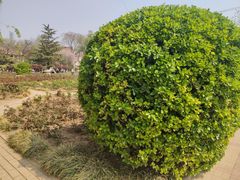 -睦南公园