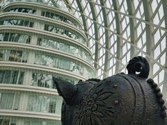 -凤凰中心