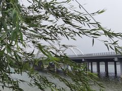 -灞河西岸滨河公园