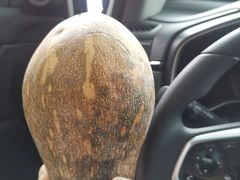 -银峰农庄·特色烧鸡·鲜无花果浸鸡