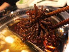 -小王少龙火锅(沙南街店)