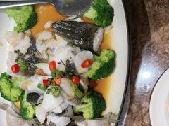 -顺意·顺德家乡菜(国际人才大厦店)