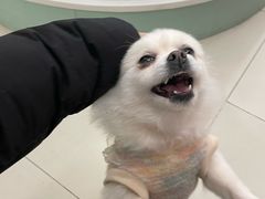 -怪兽屋·羊驼·猫咖·狗咖(俊华广场店)