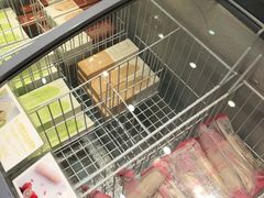 -蒲公英(五里店)