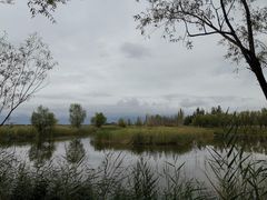 -野鸭湖国家湿地公园