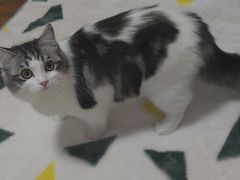 -宠颐生宠物医院·骨外科·犬猫全科诊疗中心(池州店)