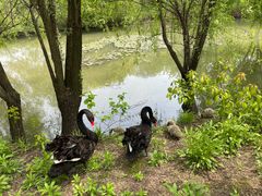景点-长兴太湖图影湿地文化园