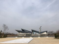 -盐城丹顶鹤湿地生态旅游区