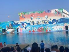 -北戴河圣蓝海洋公园