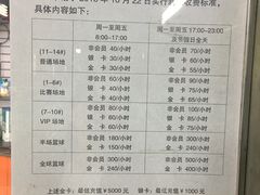 -东丽温泉羽毛球