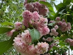 -白塘生态植物园