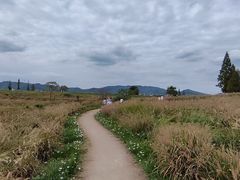-良渚古城遗址公园