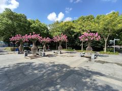 -杭州城北体育公园