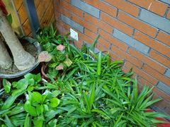 -湘当爱·鲜煮现炒(松岗立业路店)