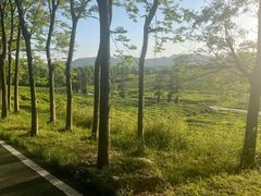 -宜兴龙背山森林公园