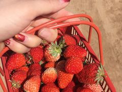 -比亚森自助烤肉料理(裕华店)