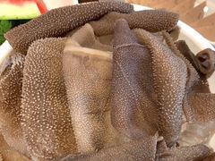 -小龙坎老火锅(北京三里屯店)