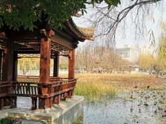 -莲湖公园