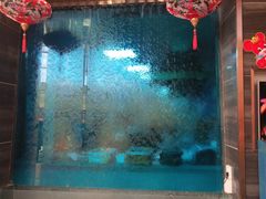 -雀舞云南菜(乐客城店)
