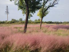 -汉长安城未央宫国家考古遗址公园
