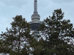 -龙塔