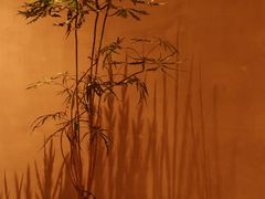 -二酉书店TOYOU BOOKS