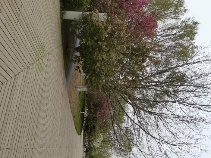 长白岛森林公园图片