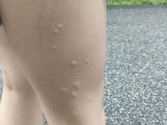 -华南国家植物园-售票处