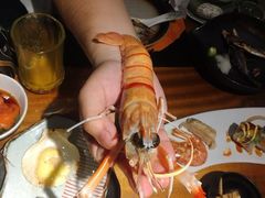 -和彩放题餐厅(酒仙桥店)