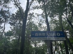 -日照海滨国家森林公园