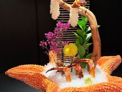 -蟹犇•帝王蟹雪蟹(陆家嘴店)