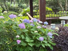 -杭州花家山庄