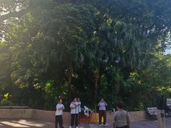 -九龙公园