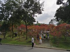 -广州市帽峰山景区