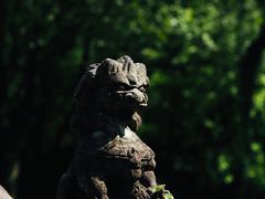 -柯岩风景区