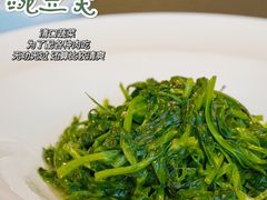 -甄御•海鲜新青岛菜(麦岛店)