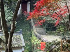 -韬光茶庵