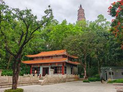 -顺峰山公园