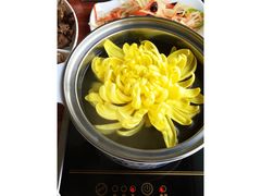 -华强阁菊花宴自助火锅店