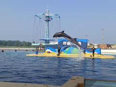 -秦皇岛乐岛海洋王国